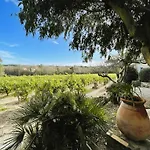 La Rouillere 3 - Authenticite Serenite Au Coeur Des Vignes T2 A ラマチュエル